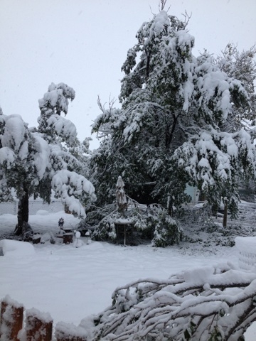 Winter Storm Atlas